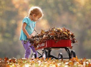 photography-of-child-pushing-the-wagon-1067191